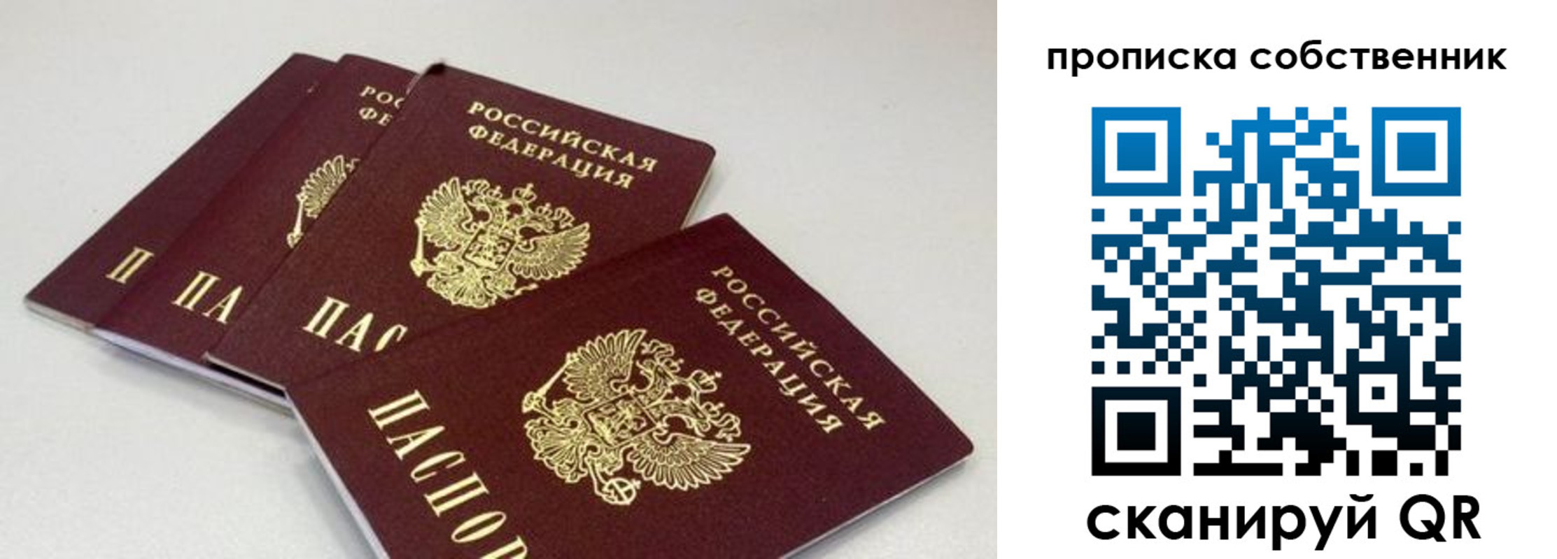 где прописаться в Домодедово